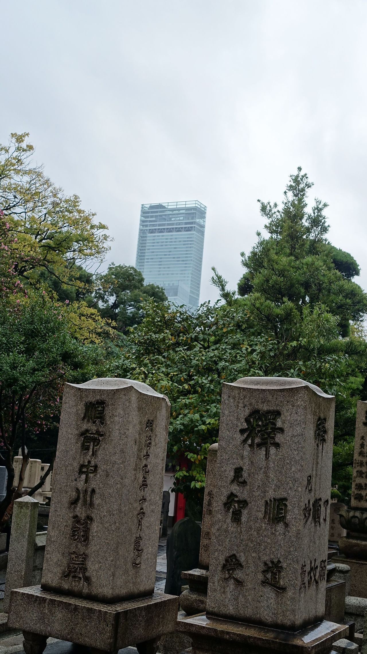 DSC03895