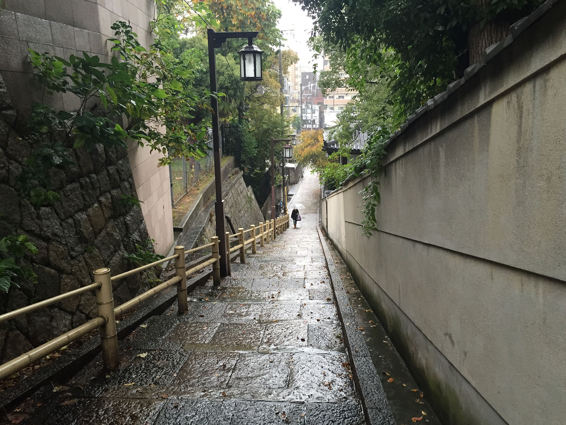 写真 2015-11-08 15 29 31