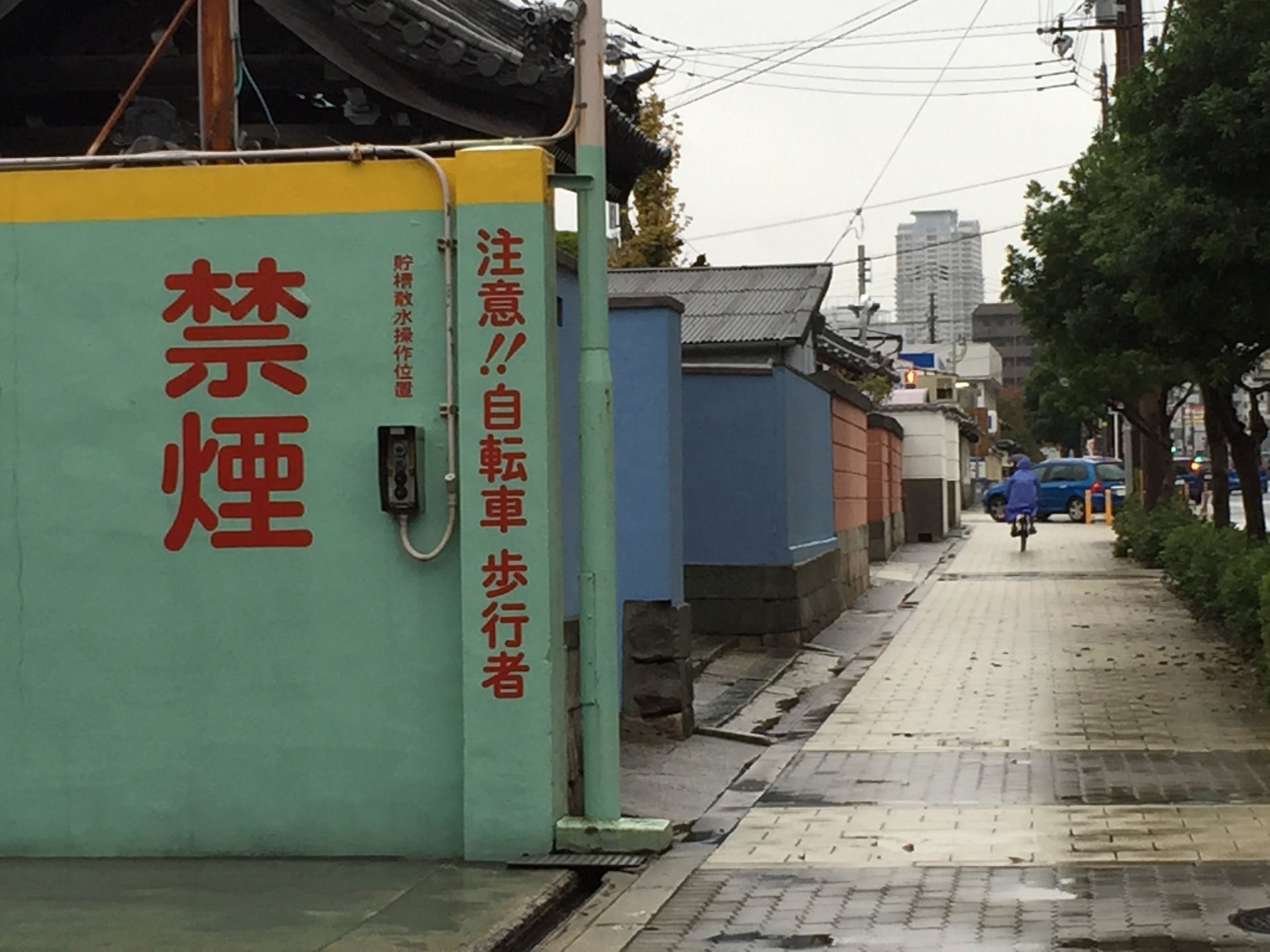 写真 2015-11-08 15 37 00