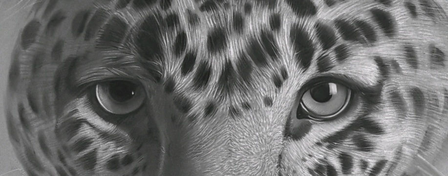 Miniaturbild: Jaguar I von Diana Nobs