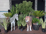 Diamedia-Swiss-Harztiere-Verleih-Events-Firmen-Firmenevent-Dekoration-Schaufenster-Shop-Weihnachten-Halloween-Ostern-Geburtstag-Hochzeit-Einkaufszentren-Handelsstand-Ausstellung-49