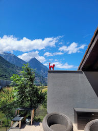 Animaux-en-resine-suisse-chat-deco-6.jpeg