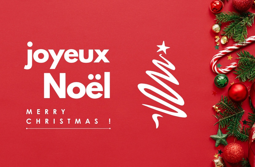 Diamedia-Animaux-en-Resine-Suisse-Bons-Cadeaux-idee-cadeau-noel-anniversaire-depart en ret