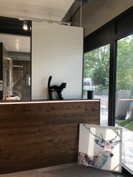 Animaux-en-resine-suisse-chat-deco-3.jpeg