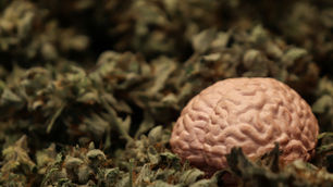 Does Cannabis Cause an Earlier Onset of Psychosis? Comments on a Recent Meta-Analysis