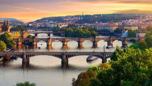 The Czech Republic's Psilocybin Guidelines 