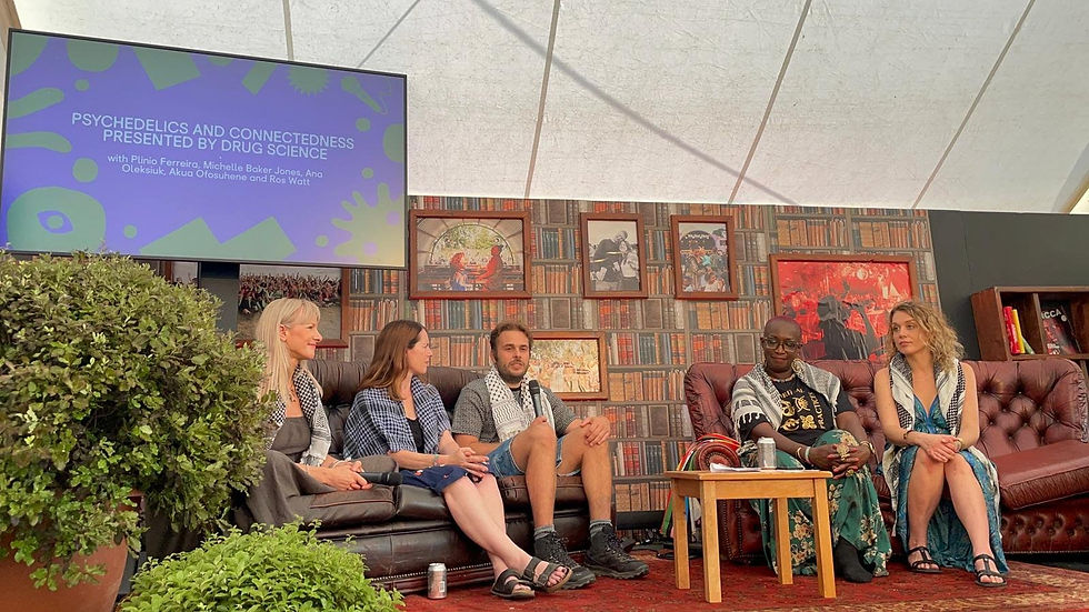 We Out Here Festival 2025 - Psychedelics and Connectedness