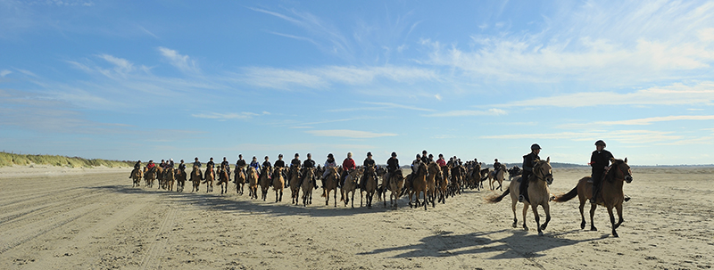 randonnee cheval le touquet
