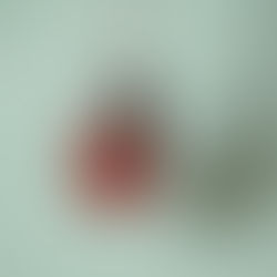 7月のオーダー会のお知らせ