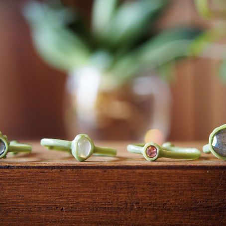 7月はこの子達からスタート