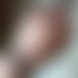 レターシリーズ