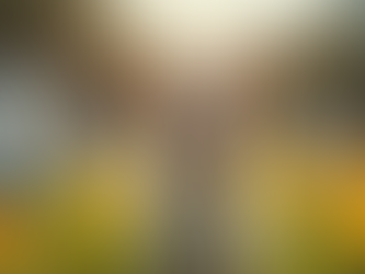 Servicios de Hospedaje y Funeraria para Mascotas