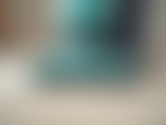 Indianapolis’ Top Carpet Cleaning Services