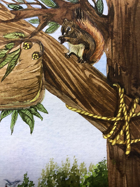 Squirrel in tree; Katmai Stories
