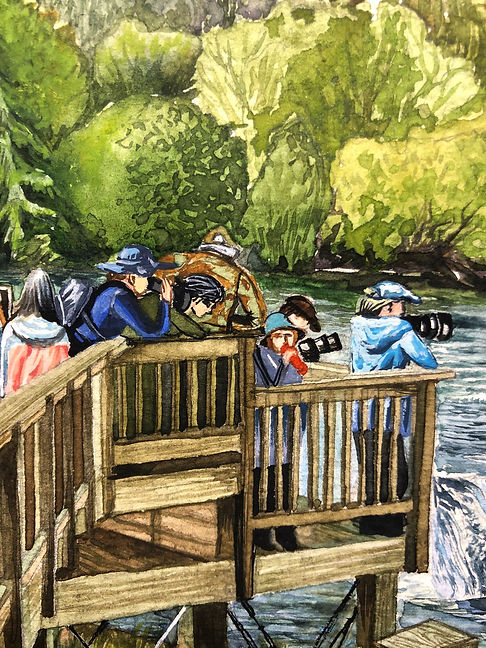 Photographers on a wooden platform capture wildlife