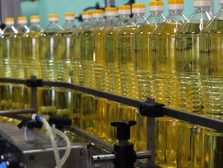 Atameken-Agro-Oils LLP - Oil Extraction Plant in North Kazakhstan Region