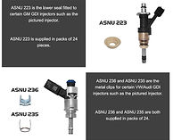 ASNU New Injector Servicing Products