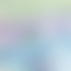 Why are Bankruptcy Filings on the Rise in Canada?