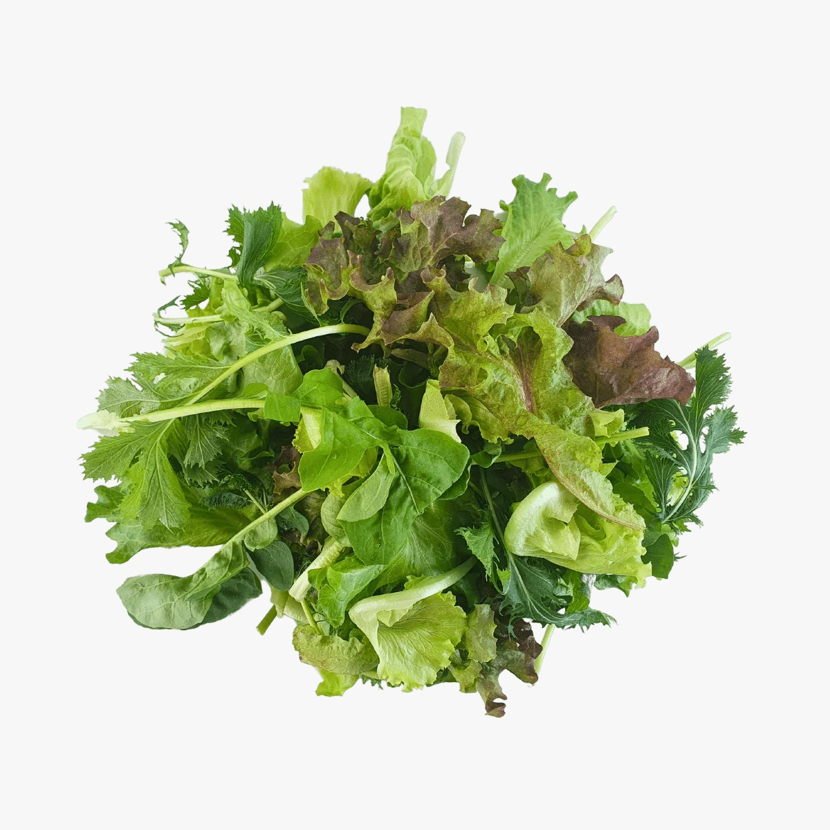 Mixed Salad  彩叶沙拉