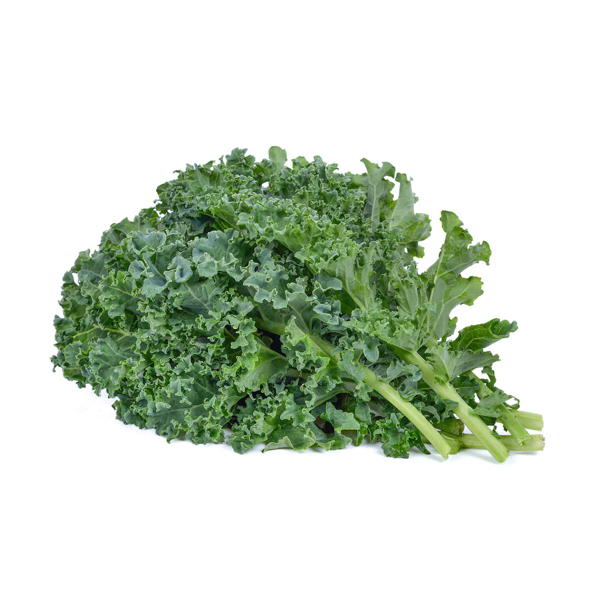 Curly Kale Australia 羽衣甘兰