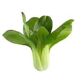Shang Hai Green 上海青