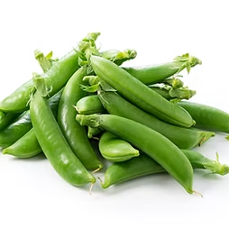 Snow Pea 荷兰豆 / 扁豆