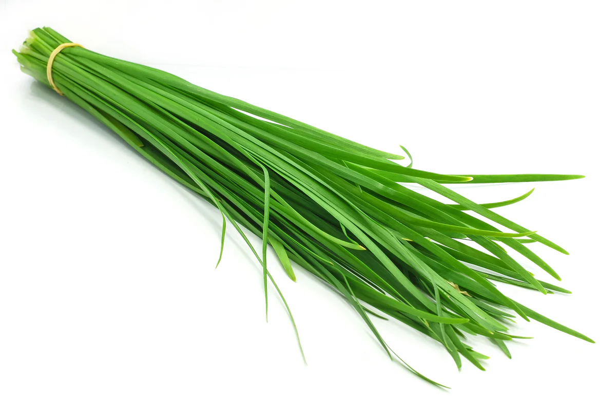 Garlic Chives 韭菜