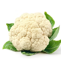Cauliflower 花椰菜