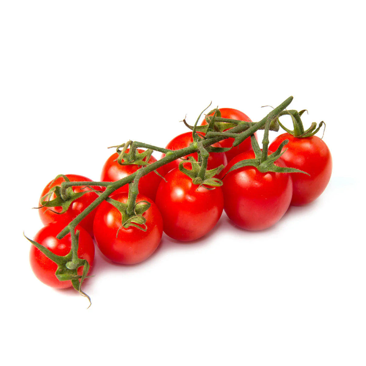 Cherry Tomato On Vine 枝上红樱桃蕃茄