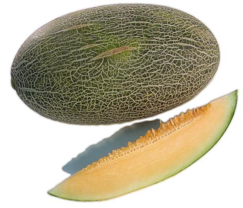Hami Melon 哈密瓜