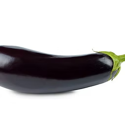 Eggplant 茄子