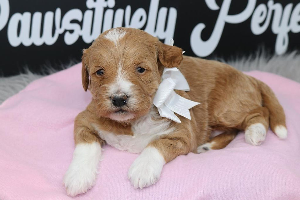 Thumbnail: Female 1180