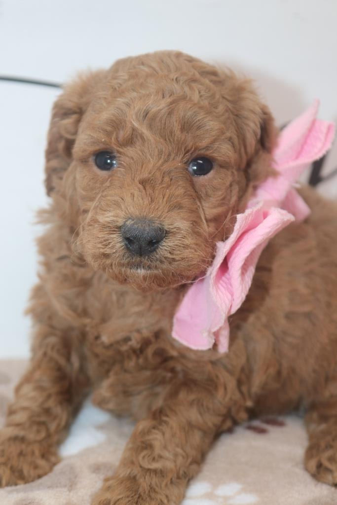 Thumbnail: Female 7896