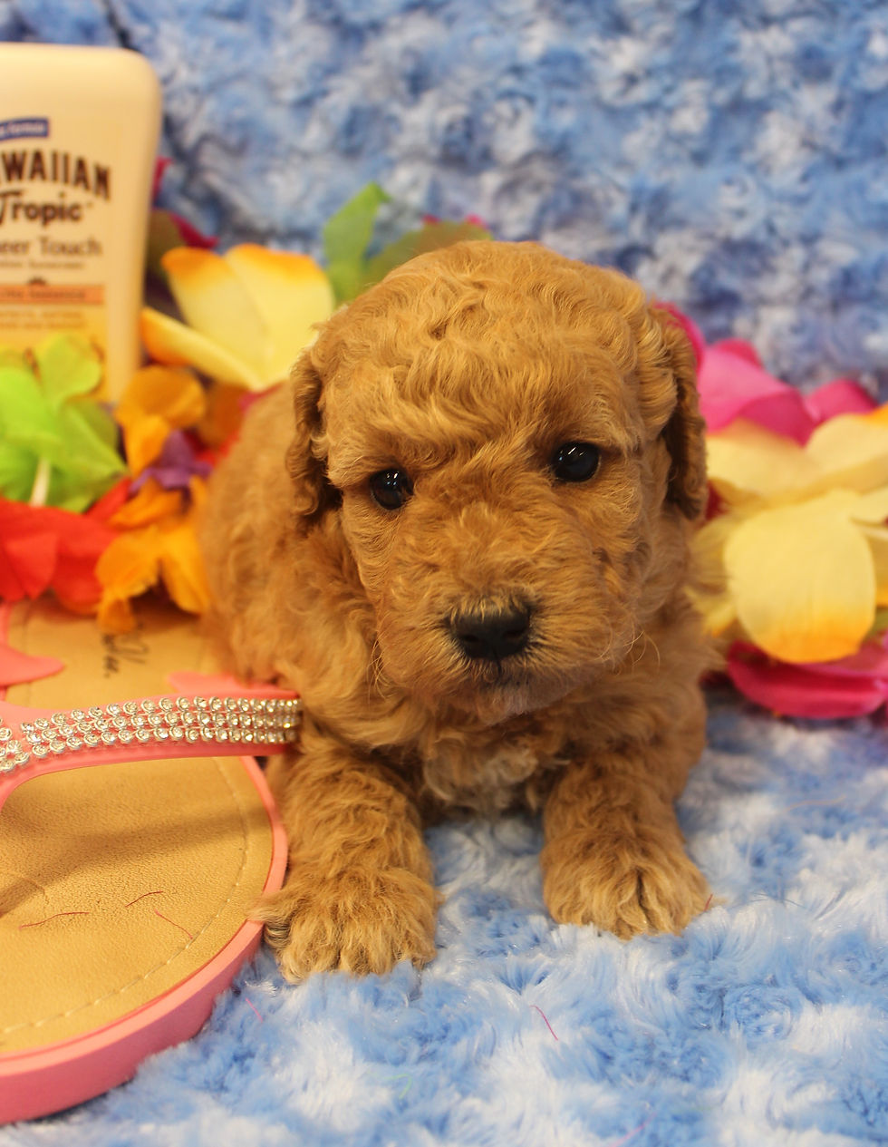 Thumbnail: Female # 4542