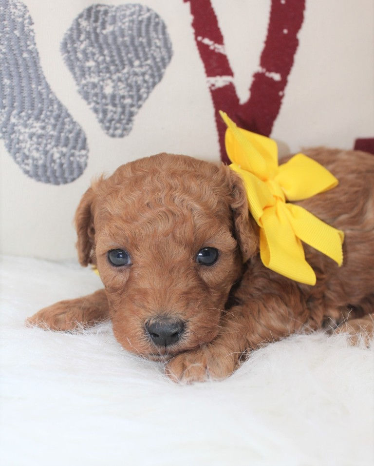 Thumbnail: Female 3814