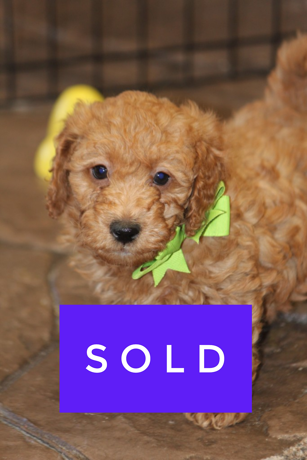 Thumbnail: Male # 2751