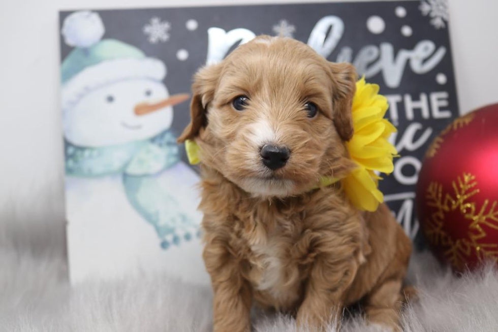 Thumbnail: Female 6698