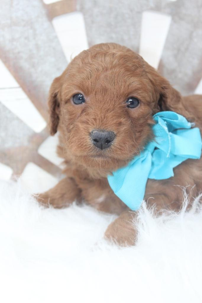 Thumbnail: Female 3851