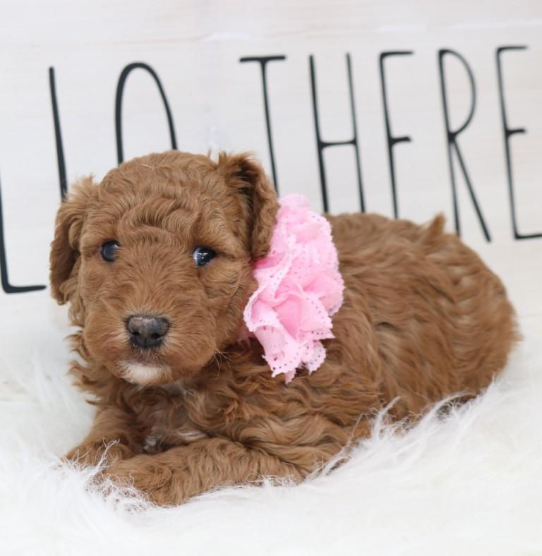 Thumbnail: Female 6693