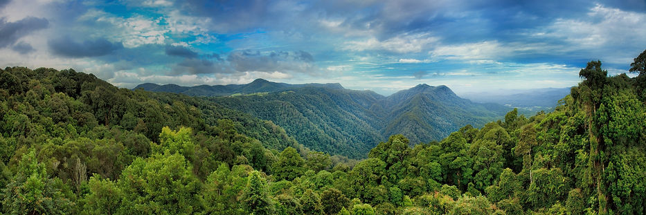 Rainforest and watershed protection at Posada Natura Costa Rica