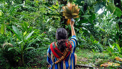 ayahausca ceremony facilitator