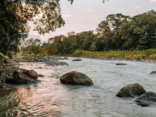 The 10 Best Ayahuasca Retreats in Costa Rica for Healing & Transformation 2025