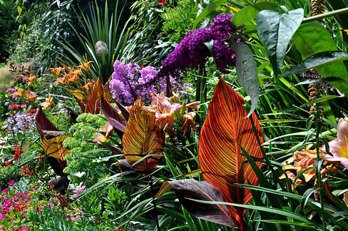 tropical-garden-flowers-ideas.jpeg