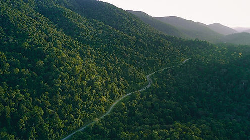 Rainforest Conservation