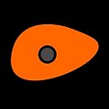 rF.png