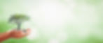 shutterstock_792410140.jpg