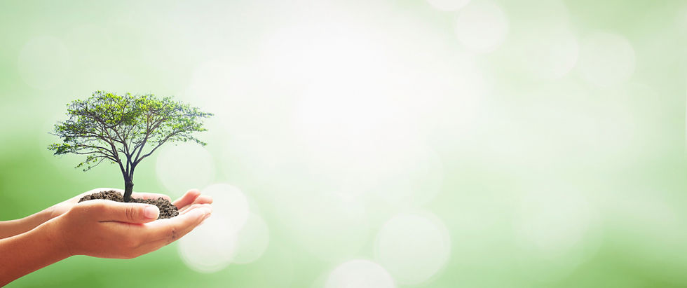 shutterstock_792410140.jpg