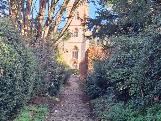 Corton Denham