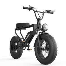 DK200 Off Road Mountain Electric bike