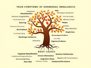 Discover How To Go From Hormonal Imbalance Regaining Harmony And Vitality In Just 90 Days!